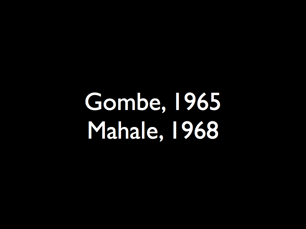 Gombe, 1965  Mahale, 1968