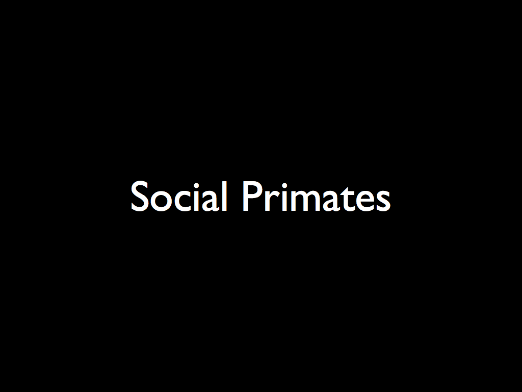 Social Primates