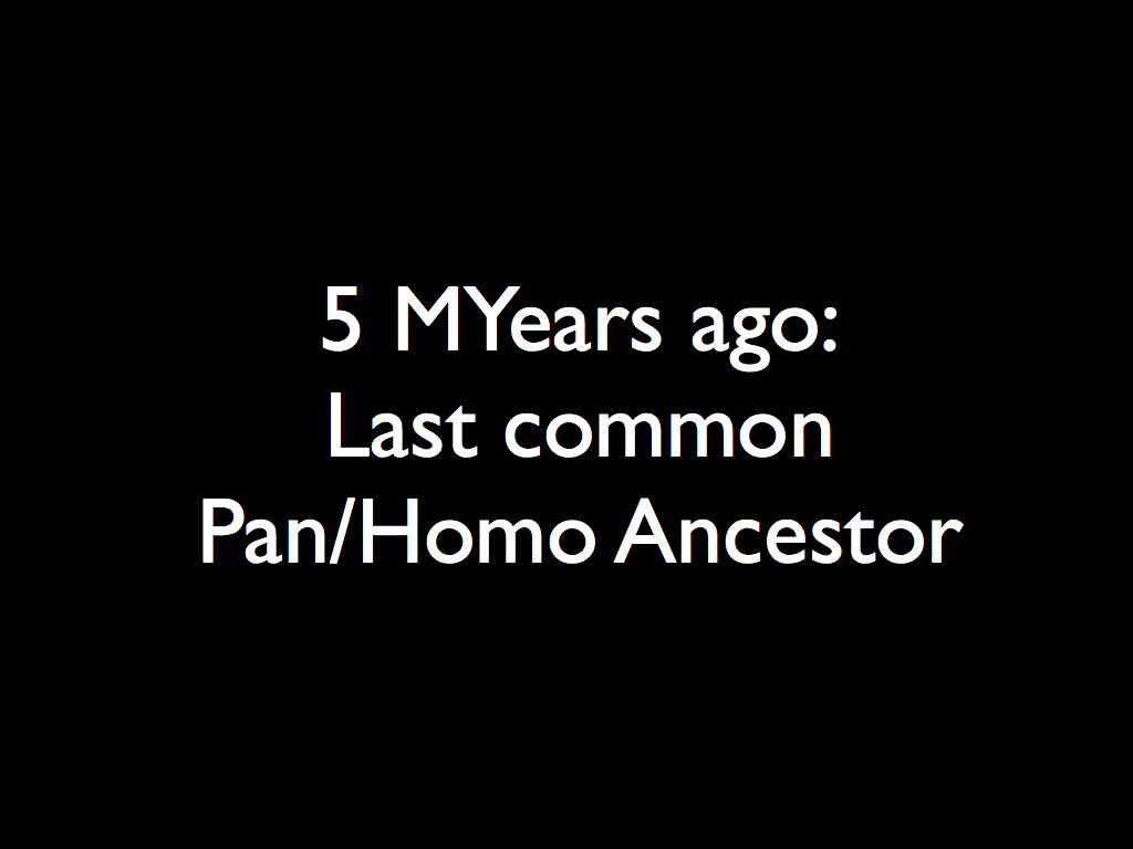 5 MYears ago:  Last common  Pan/Homo Ancestor