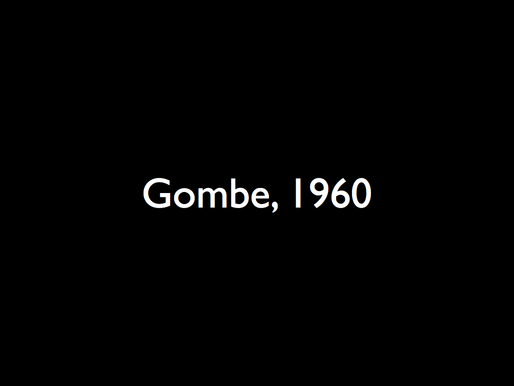 Gombe, 1960