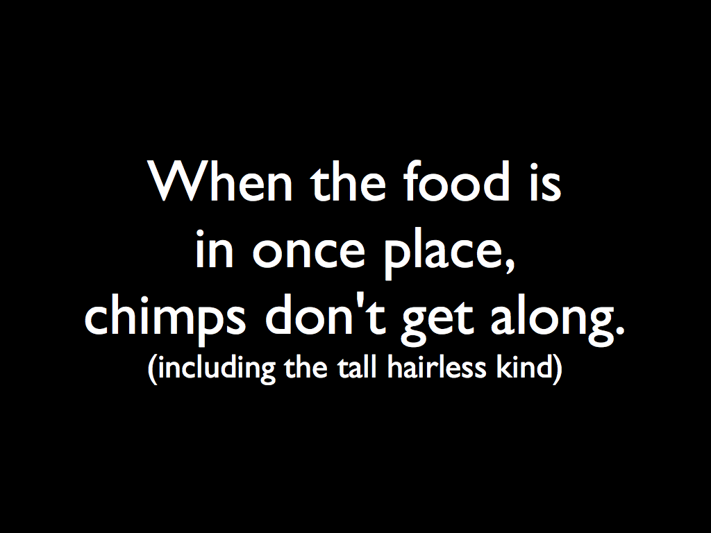 When the food is  in once place,  chimps don't get along.  (including the tall hairless kind)